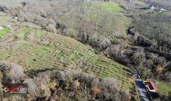 Tapuçarşı'dan Esentepe De Villa Arazileri Kupon