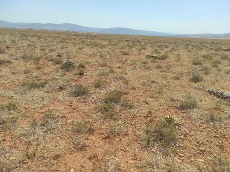 Sezenler Emlaktan Çumra Apa Mahallesi'nde Satılık Tarla