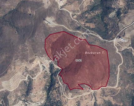 İzmir Karaburun'da 228 Dönüm | Res & Gese Uygun Satılık Arazi