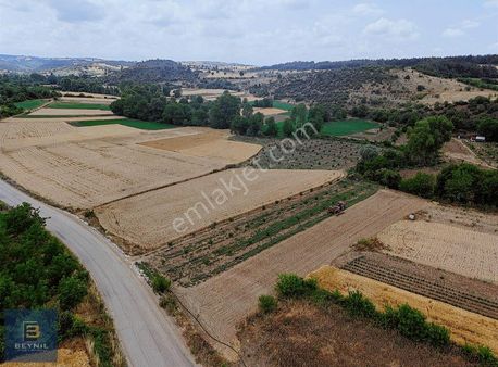 Beynil'den Bursa Yenişehir Günece Köyü'nde 9438 M2 Satılık Tarla