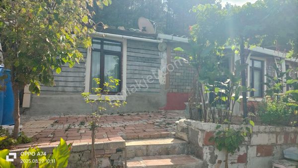 Beykoz Deresekide Eşyalı Müstakil Bahçeli 2+1 Ev