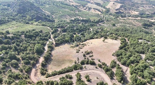 Çiftlik Yapımına Uygun 19.024m2 Kadastro Yolu Var Satılık Tarla