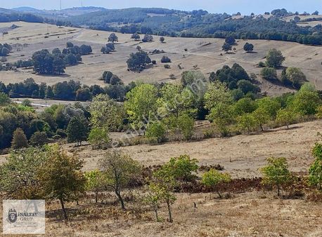 Körfez Dereköy'de Villa İmarlı Arsa