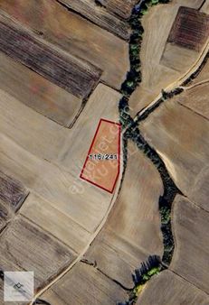 Babaeski Yenimahallede 5269 M2 Köyün Yanında Satılık Tarla