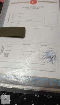 Pınarhisar Yenice De 436 M2 Satılık Çaplı Hisseli Tarla