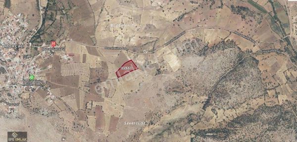 Efe Emlak'tan Morcalı Köyü'nde Satılık Tarla