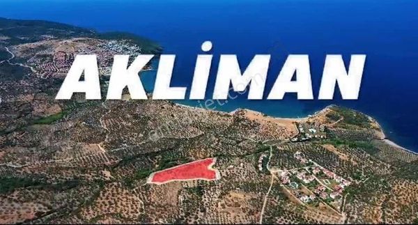 Çanakale Ayvacık Babakale De Denize 300 M Zeyyinlik