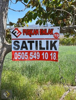 Furkan Emlaktan Vakıf Mah. Verimli 4225 M² Satılık Bahçe