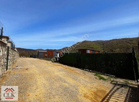 Clk'dan Şile Göksu Da Satılık Arsa