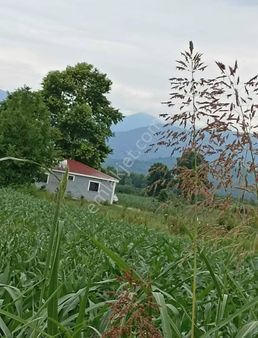 Alemdar Gayrimenkul Sakarya Erenler Kamışlı Mah.satlık Evli Arsa