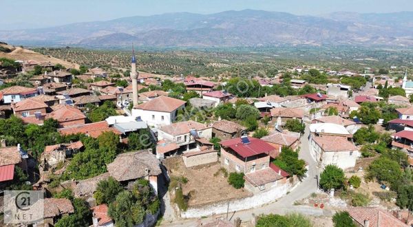 Century 21 Net'ten Aydın Bozdoğan Pınarlı Mah Yatırımlık Arsa