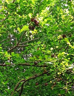 Karataş İnşaattan Satılık Muhteşem Konumda Gecekondu