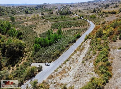 Kocaeli Kubuzcu Köyünde Satılık Asfalt Cephe 2.734m2 Tarla