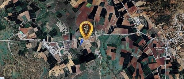 C21 Loca'dan Ana Yol Üzeri 8346 M2 Tarla