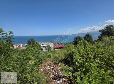 Güzelyalıda 899m2 Deniz Manzaralı Arsamız Satılıktır
