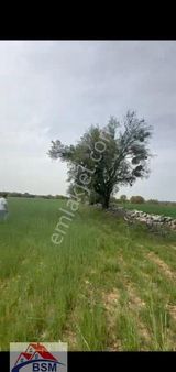 Bsm'den Güney Çorbacılar Da 23 Dönüm Yatırımlık Düz Arazi