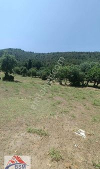 Bsm'den Muhteşemm Doğa Harikası Gerzele Mevkii 2 Villalık Parsel