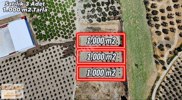 Aşağıkırıklar Köyünde Yatırımlık Araziler