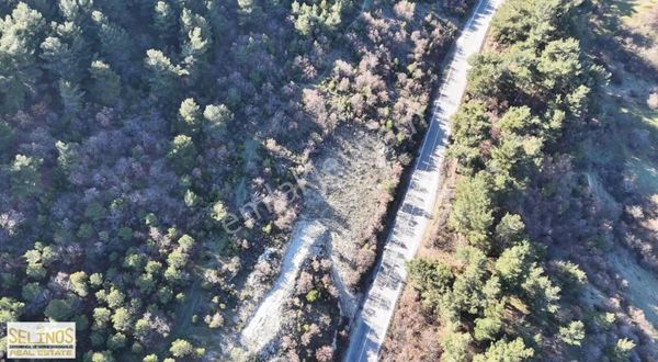 Asfalt Yola Cepheli Manzaralı Tarla