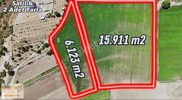 Dikili İsmetpaşa Mahallesinde 22.000 M2 Çiftlik Arazisi