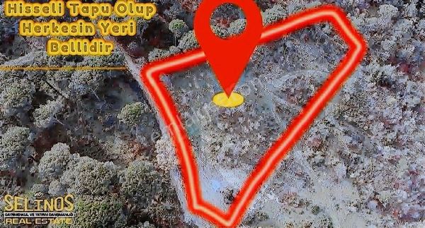 Yukarıbey Mahallesinde 4331 M2 Tarla