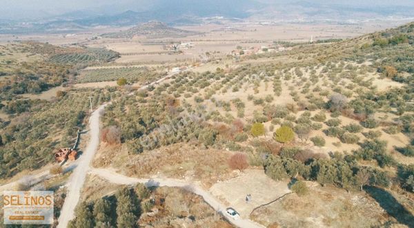 Eğrigöl Köyünde Araç Takasına Açık Tek Tapu Arsa