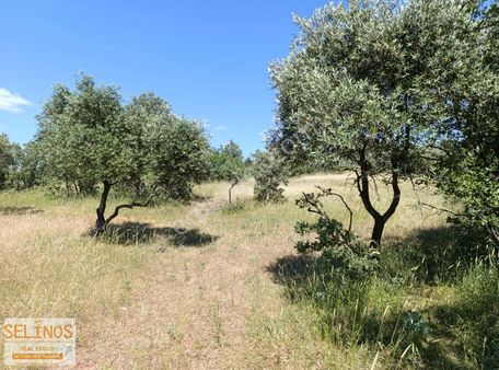 Bergama Sarıcalar Köyünde 10.314 M2 Tarla