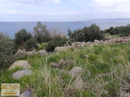 Selinos'dan Deniz Kenarı İşletme Yapmaya Uygun Bahçe