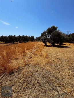 Aydın Efeler Çayüzü Köyünde Yatırımlık 3640 M2 Tek Tapu Arazi