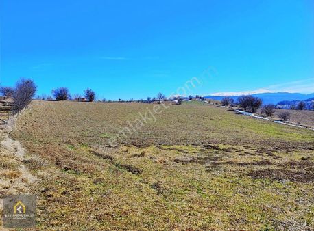 Kastamonu Emlak Gayrimenkul'den Satılık Kayı Köyü Tarla