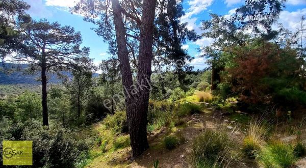 Başak Tan Karadere Deniz Manzaralı Kagir Evi Olan Tarla