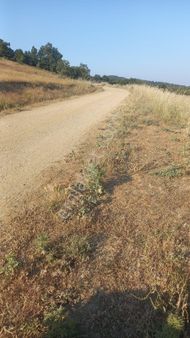 Bursa Kestel Kozluogren