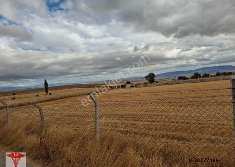Klass Emlaktan Merzifonda Kümbet Hatun Mevkinde Satlık Tarla
