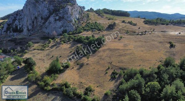 Geyve Ahibaba Asfalta Cephe 12.562m2 İmar Sınırı