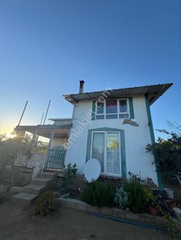 Gemlik Narlı’da Ahşap Evli, 1852 M² Müstakil Zeytinlik – Kupon Fırsat