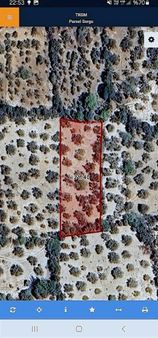 Gaylan Köyünde 1663 M2 Zeytinlik