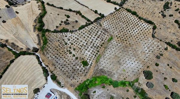 Gaylan Köyünde Yol Cepheli 10.000 M2 Tarla