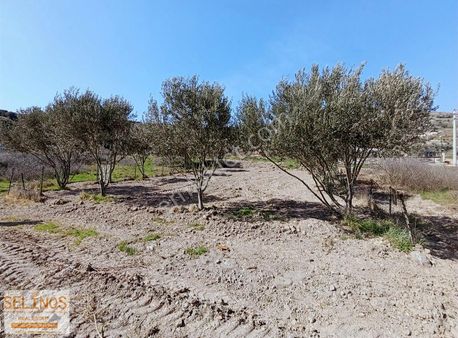 Selinos'dan Çandarlı'da 350 M2 İmarlı Arsa