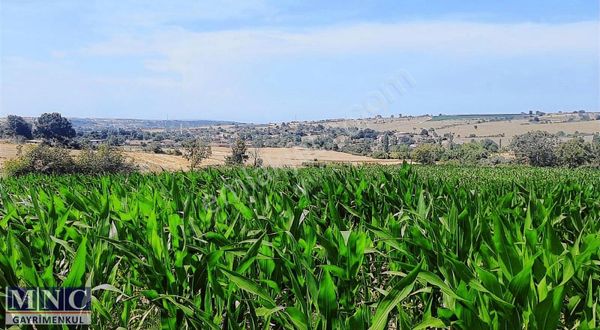 Hacıpehlivan Köye Çok Yakın, Düz Verimli Arazi, Çok Uygun Fiyata