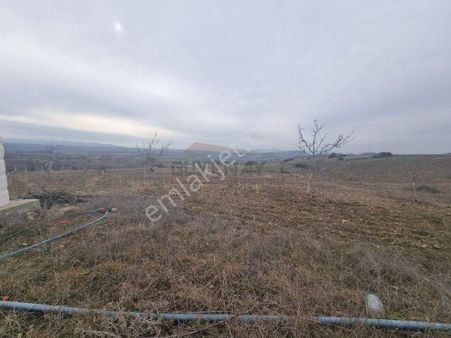 Güvenay – Çorum Atçalı Mevki – 6.830 M² Satılık Tarla