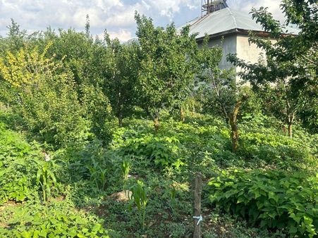 Arslanköy'de Muhteşem Konumda Satılık 947 M² Arsa