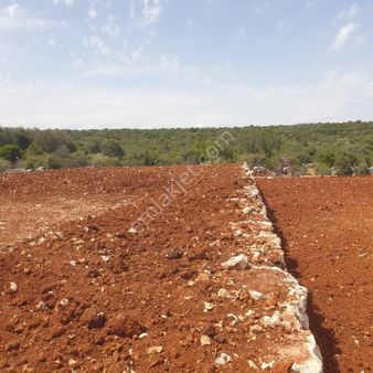 Narlıkuyu Üstünde- Satılık Tarla - Su Kaynaklı, Deniz Manzaralı
