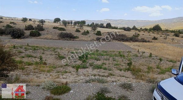 Denizli Bozkurt Tutluca Da 1.6 Dönüm Tarla