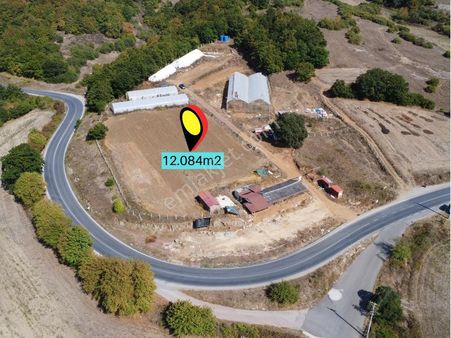 Kandıra'da 13 Dönüm Arazi; Kahvaltı Salonu, Sera Ve Ahırları Olan Fırsat Çiftlik