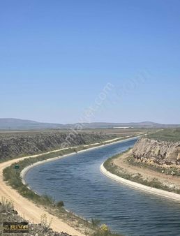 24 Dekar Tarla Kiralıktır