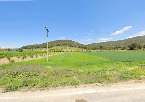 Osmaneli Düzmeşe Mahallesinde Acil Satılık Tarla