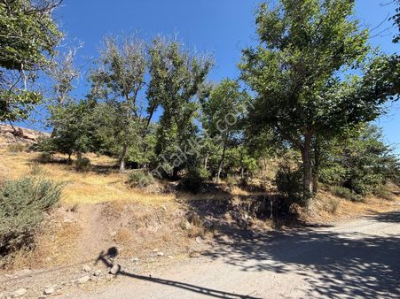 Kayseri Gesi'de Bahçeli Arsa