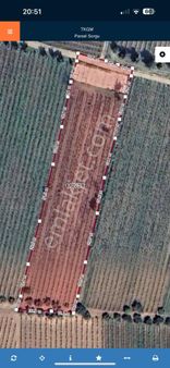 Turgutlu Satılık Musulcalı Köyünde 4950m2 Yetişkin Bağ Tek Tapu