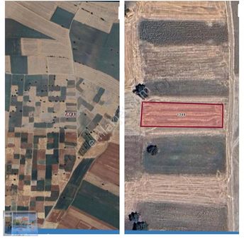 Lüleburgaz Emirali Köyünde 920 M2 Tek Tapu Bagyeri