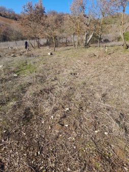 Çanakkale Çan İlçesi Altıkulaç Köyünde Yatırmlık Fırsat Tarla